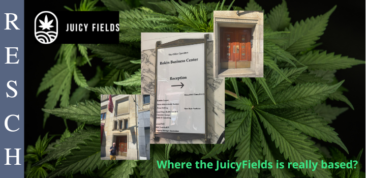 Juicy Fields - We follow the trail of the money